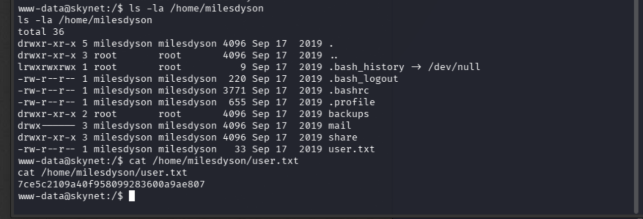 user.txt flag in milesdyson's home directory